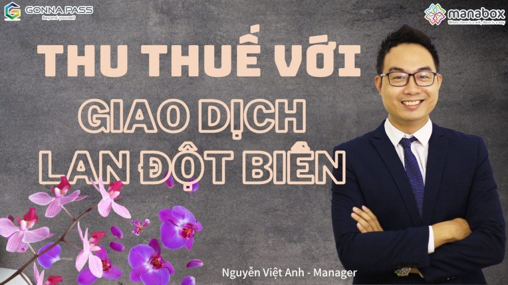 Truy thu thuế với giao dịch lan đột biến