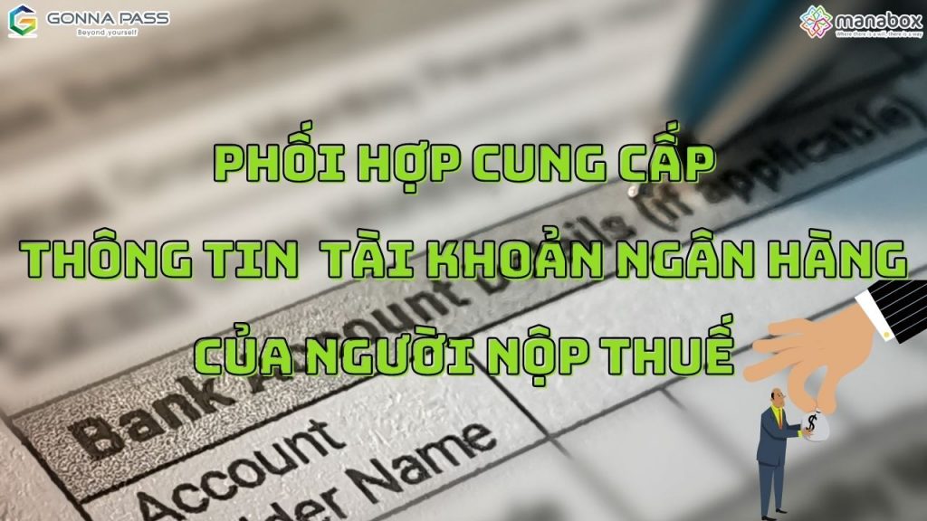 cung cấp thông tin tài khoản người nộp thuế